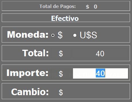 4. Información de pago
