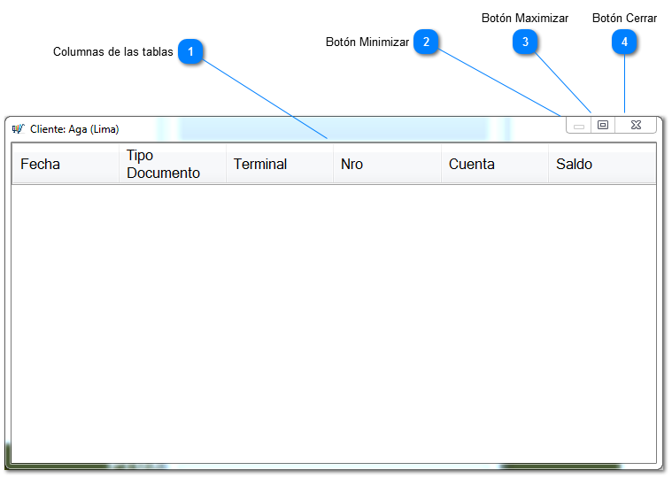 Información de recibo de saldo (Cuenta corriente)
